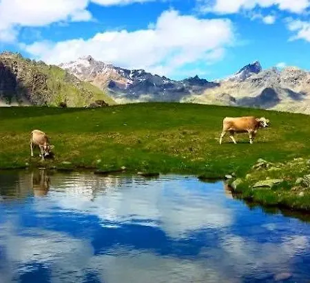 Family Stop * Tirano