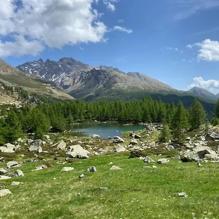 Family Stop * Tirano